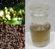 丁香叶油 Clove leaf oil INDONESIA